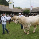 Hódmezővásárhely 2019