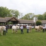 Hódmezővásárhely 2019