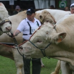 Hódmezővásárhely 2019