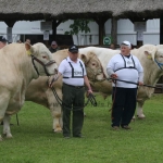 Hódmezővásárhely 2019