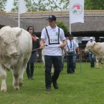 Hódmezővásárhely 2019