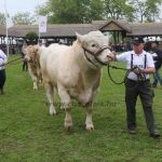 Hódmezővásárhely 2019