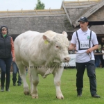 Hódmezővásárhely 2019