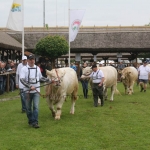 Hódmezővásárhely 2019