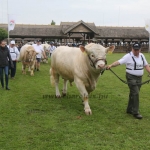 Hódmezővásárhely 2019