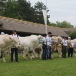 Hódmezővásárhely 2019