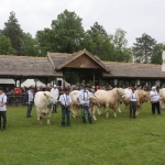 Hódmezővásárhely 2019