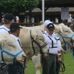 Hódmezővásárhely 2019