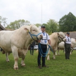 Hódmezővásárhely 2019