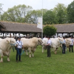 Hódmezővásárhely 2019