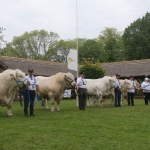 Hódmezővásárhely 2019