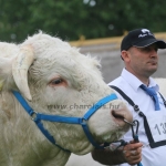 Hódmezővásárhely 2019