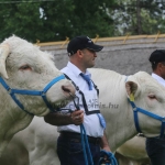 Hódmezővásárhely 2019