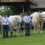 Hódmezővásárhely 2019