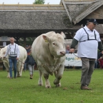 Hódmezővásárhely 2019