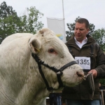 Hódmezővásárhely 2019