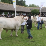 Hódmezővásárhely 2019