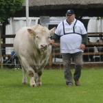 Hódmezővásárhely 2019