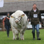 Hódmezővásárhely 2019