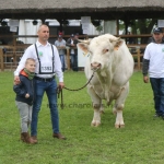 Hódmezővásárhely 2019