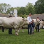 Hódmezővásárhely 2019