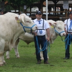 Hódmezővásárhely 2019