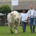 Hódmezővásárhely 2019