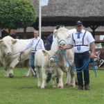 Hódmezővásárhely 2019