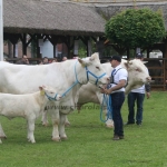 Hódmezővásárhely 2019