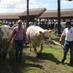 Hódmezővásárhely 2019