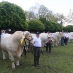 Hódmezővásárhely 2019