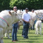 Hódmezővásárhely 2019