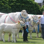 Hódmezővásárhely 2019