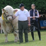 Hódmezővásárhely 2019