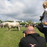 Hódmezővásárhely 2019