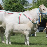 Hódmezővásárhely 2019