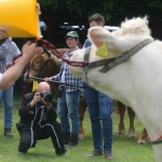 Hódmezővásárhely 2019