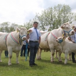 Hódmezővásárhely 2019