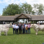 Hódmezővásárhely 2019