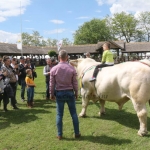 Hódmezővásárhely 2019