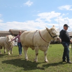 Hódmezővásárhely 2019