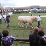 Hódmezővásárhely 2019