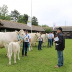 Hódmezővásárhely 2019