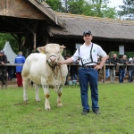 Hódmezővásárhely 2019