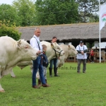 Hódmezővásárhely 2019