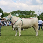 Hódmezővásárhely 2019