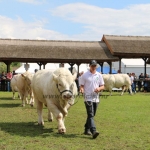 Hódmezővásárhely 2019