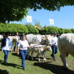 Hódmezővásárhely 2019