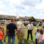 Hódmezővásárhely 2019