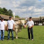 Hódmezővásárhely 2019